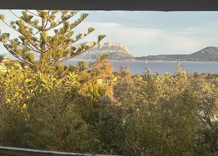 Sea View Boutique Apartment